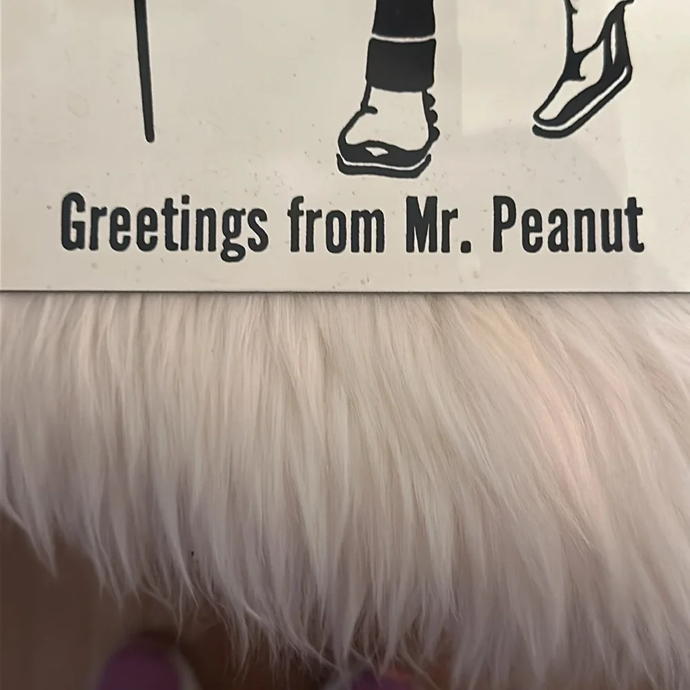 Vintage Mr. Peanut Porcelain (Enamel) Advertising Sign by Ande Rooney™️ - Picture 10 of 14